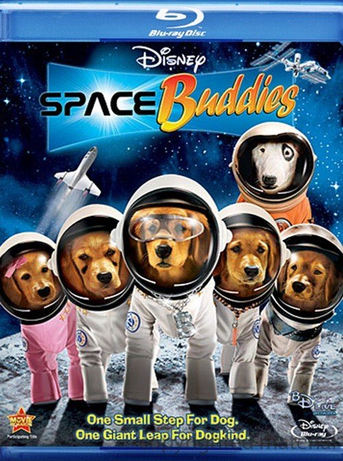 IPB Image