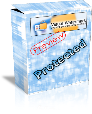 visual watermark key