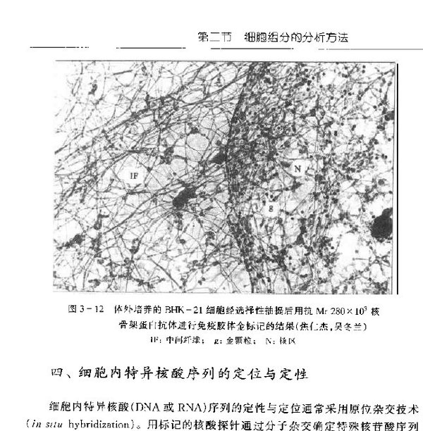 IPB Image