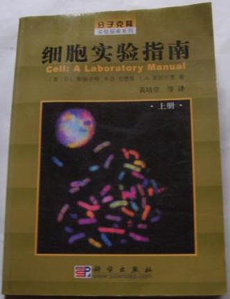 IPB Image