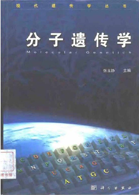 IPB Image