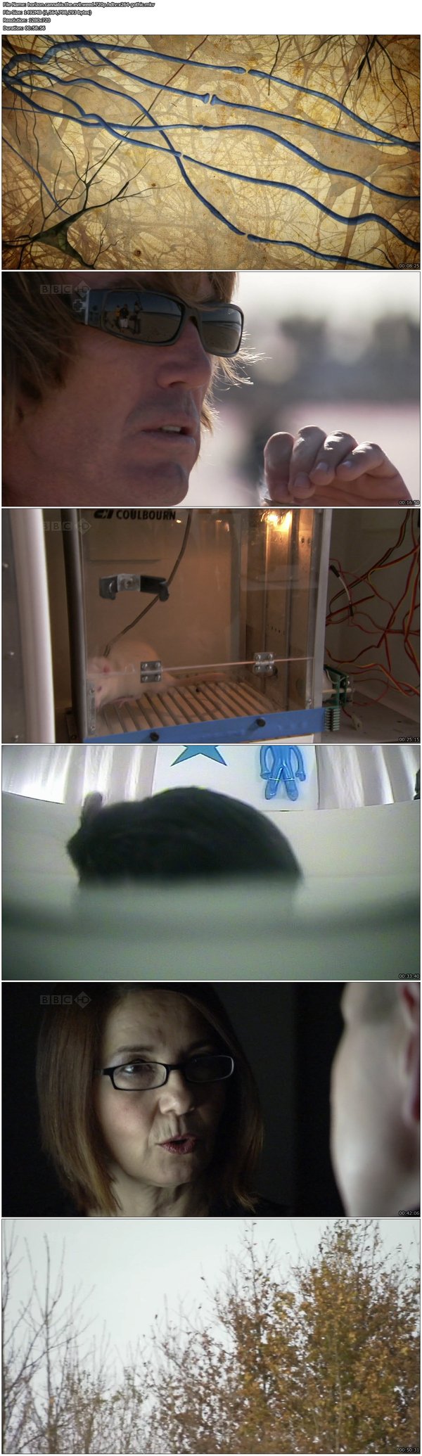 IPB Image