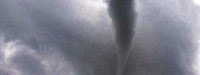 IPB Image
