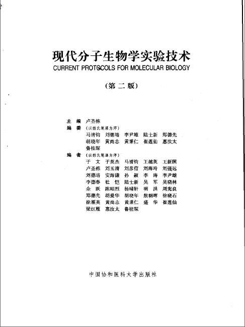 IPB Image