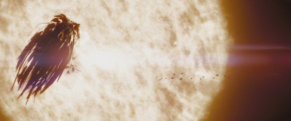 IPB Image