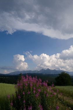 IMG_1178.jpg