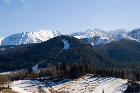 IMG_2004.jpg