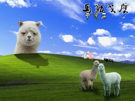 Win草泥馬.jpg