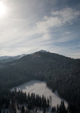 _MG_9684.jpg