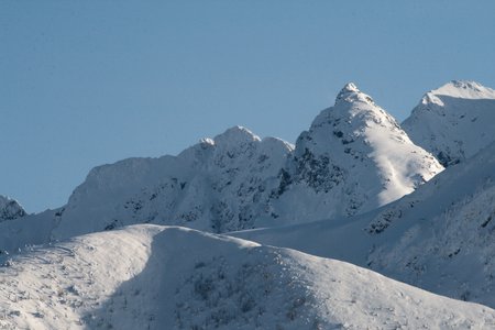 _MG_9830.jpg