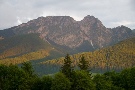 IMG_8376.jpg