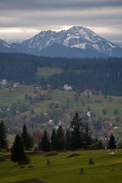 IMG_4518.jpg
