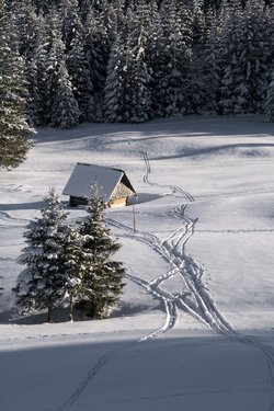 IMG_8701.jpg
