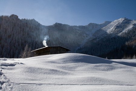 IMG_8663.jpg