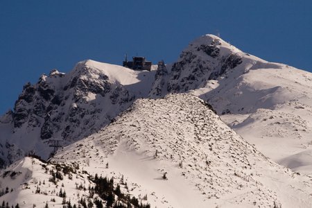 IMG_2788.jpg