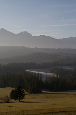 IMG_8313.jpg
