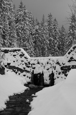 IMG_3003.jpg