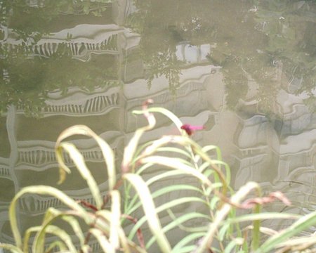 SUNP0005.JPG