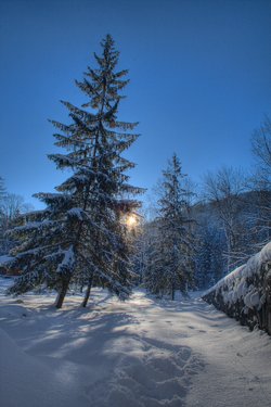 _MG_8747_8_9_tonemapped-Edit.jpg