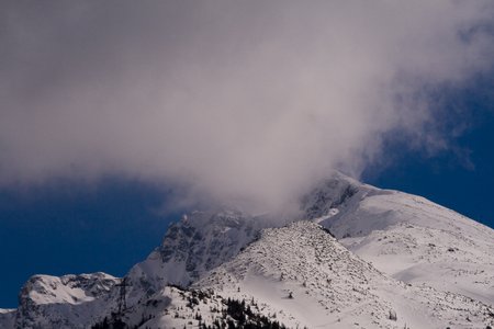 IMG_2805.jpg