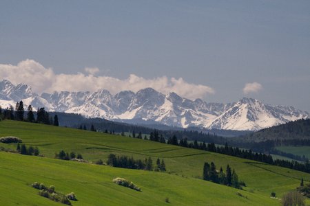 IMG_3775.jpg