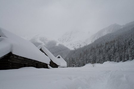 _MG_9527.jpg