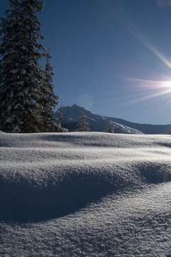 IMG_8664.jpg