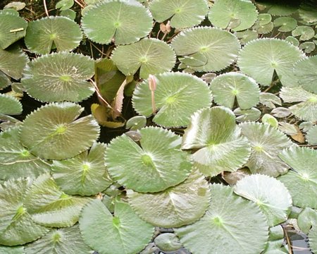 SUNP0011.JPG
