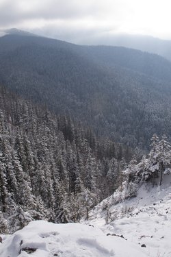 _MG_0963.jpg