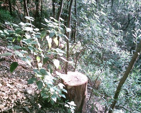 080725_feierling_outlook_020.JPG