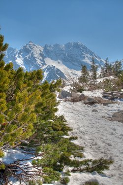 _MG_1995_6_7_tonemapped.jpg