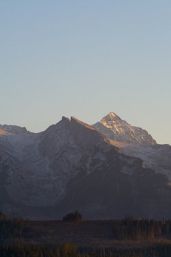 IMG_5703.jpg