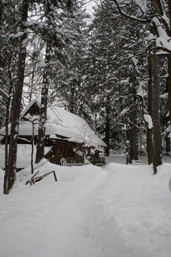 _MG_9446.jpg