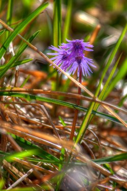 _MG_2539_40_41_tonemapped.jpg