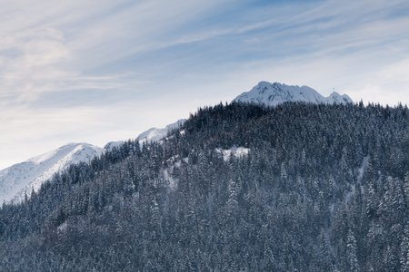 _MG_9644.jpg