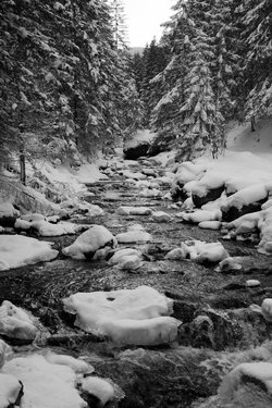 _MG_1790.jpg