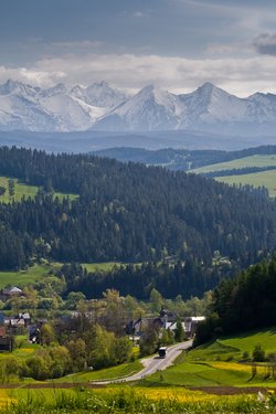 IMG_3946.jpg