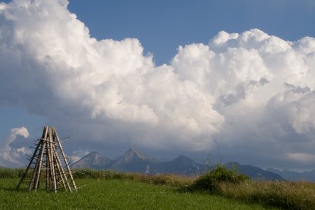 IMG_1215.jpg