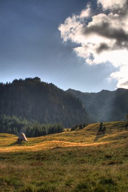IMG_4157_5_6_tonemapped.jpg