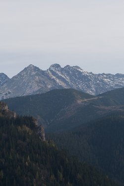 IMG_5772.jpg