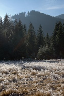 IMG_8403.jpg