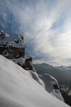 _MG_9710.jpg