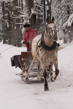 IMG_3016.jpg