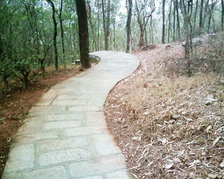 SUNP0035.JPG