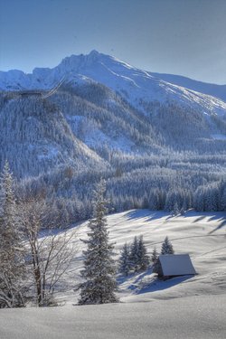 IMG_8668_69_70_tonemapped.jpg