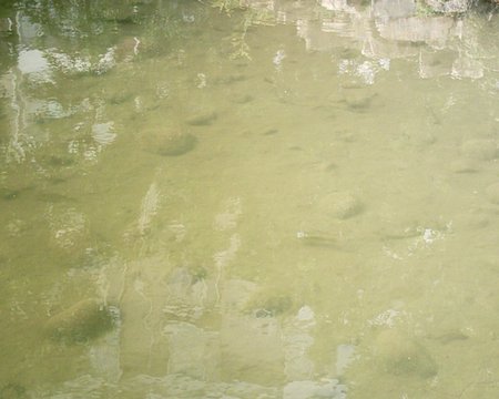 SUNP0010.JPG