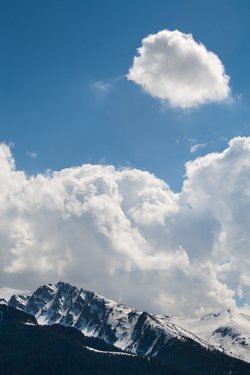 _MG_1125.jpg