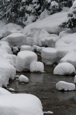 _MG_9582.jpg