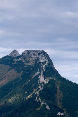 IMG_3734.jpg