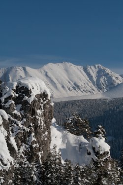 _MG_9771.jpg